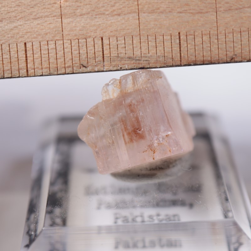 Katlang�����ȥѡ���