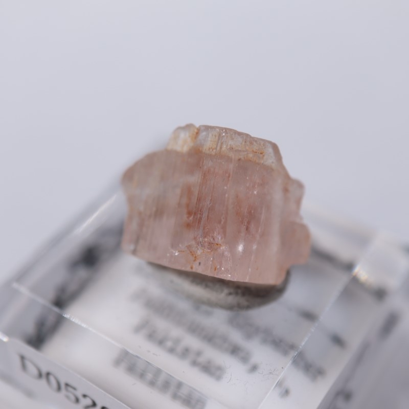 Katlang�����ȥѡ���