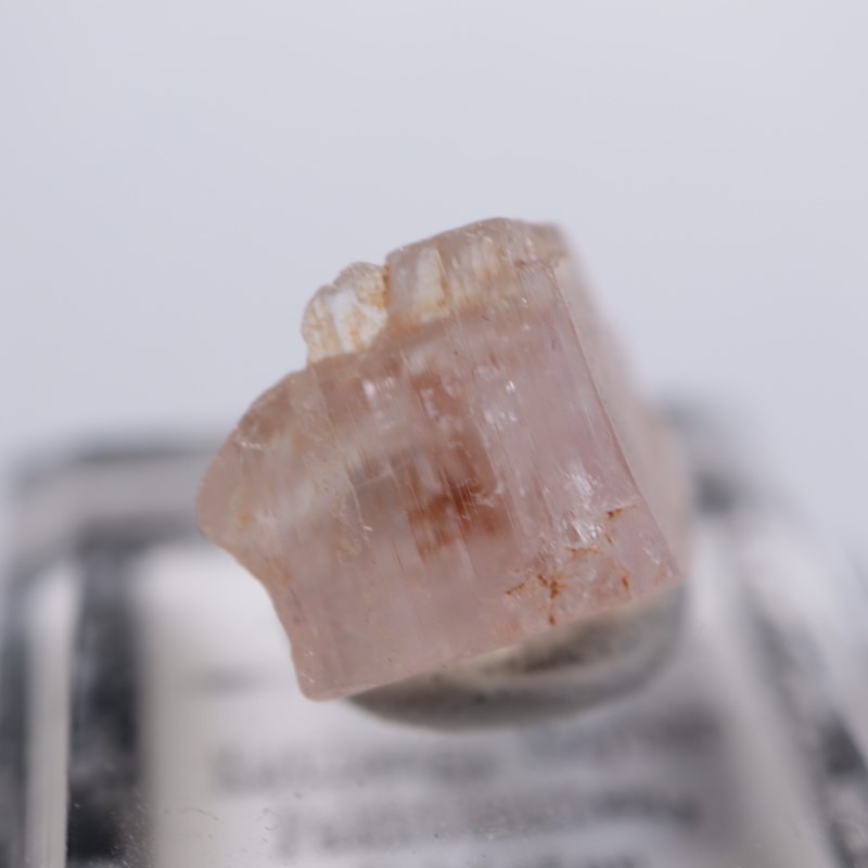 Katlang�����ȥѡ���