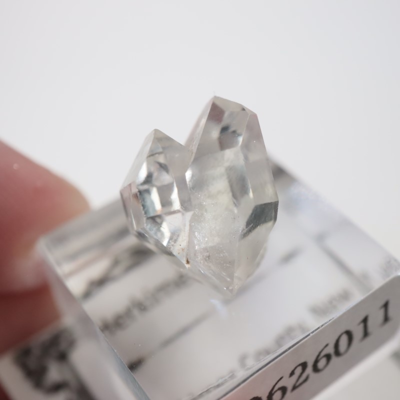 �˥塼�衼�������ϡ����ޡ��徽