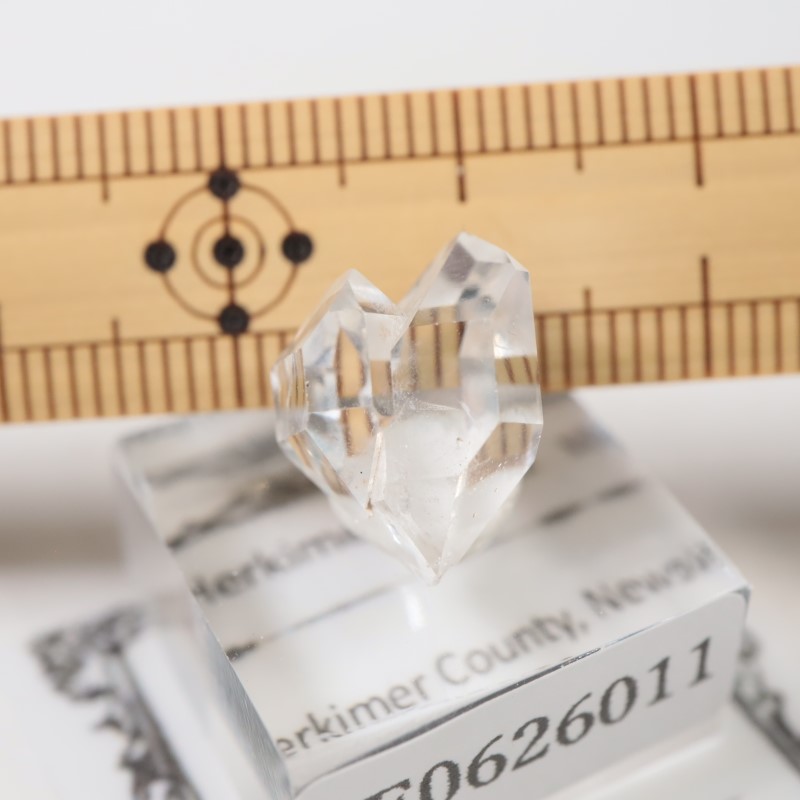 �˥塼�衼�������ϡ����ޡ��徽