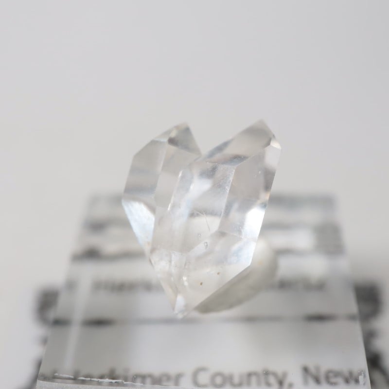 �˥塼�衼�������ϡ����ޡ��徽