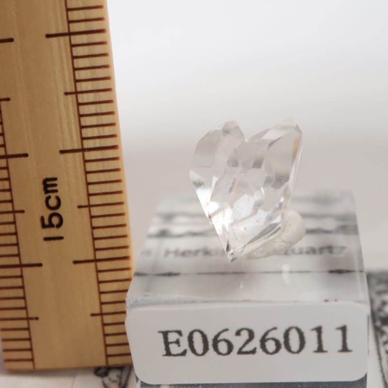 �˥塼�衼�������ϡ����ޡ��徽