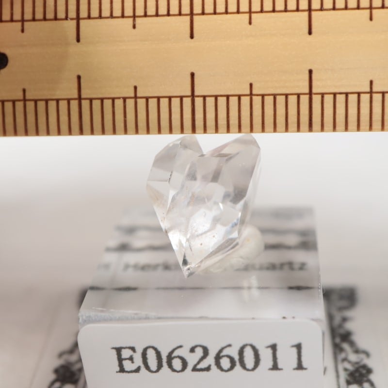 �˥塼�衼�������ϡ����ޡ��徽