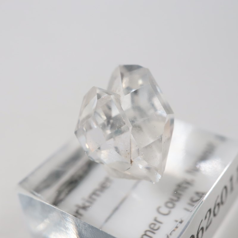 �˥塼�衼�������ϡ����ޡ��徽