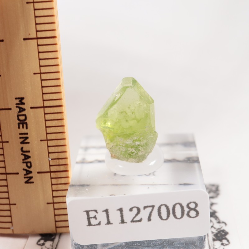 �ѥ������� �ڥ�ɥå�