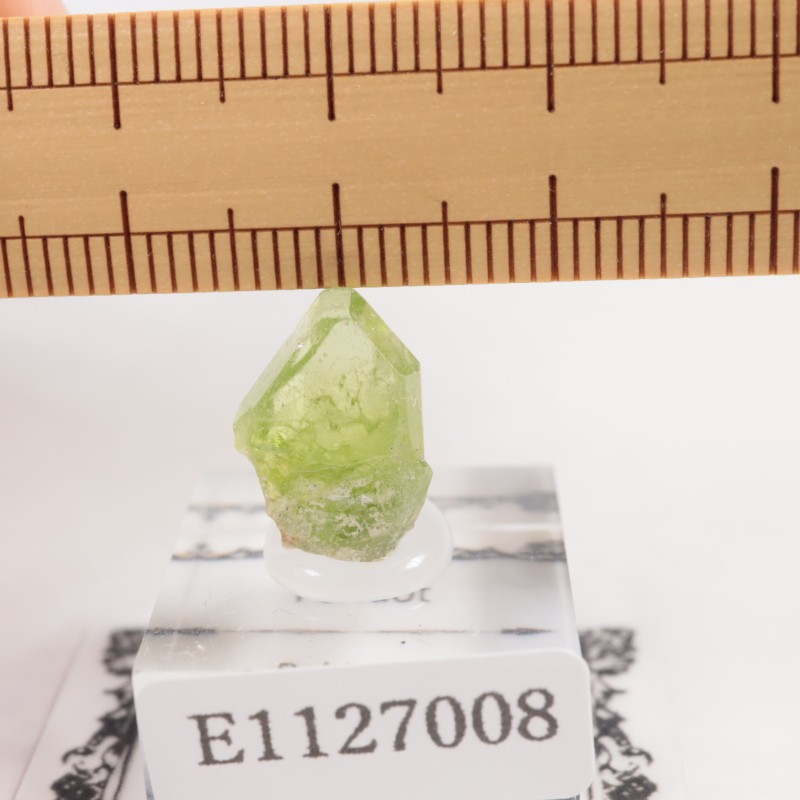 �ѥ������� �ڥ�ɥå�