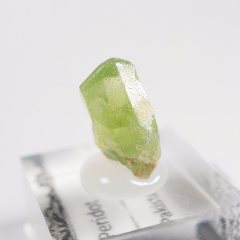 �ѥ������� �ڥ�ɥå�