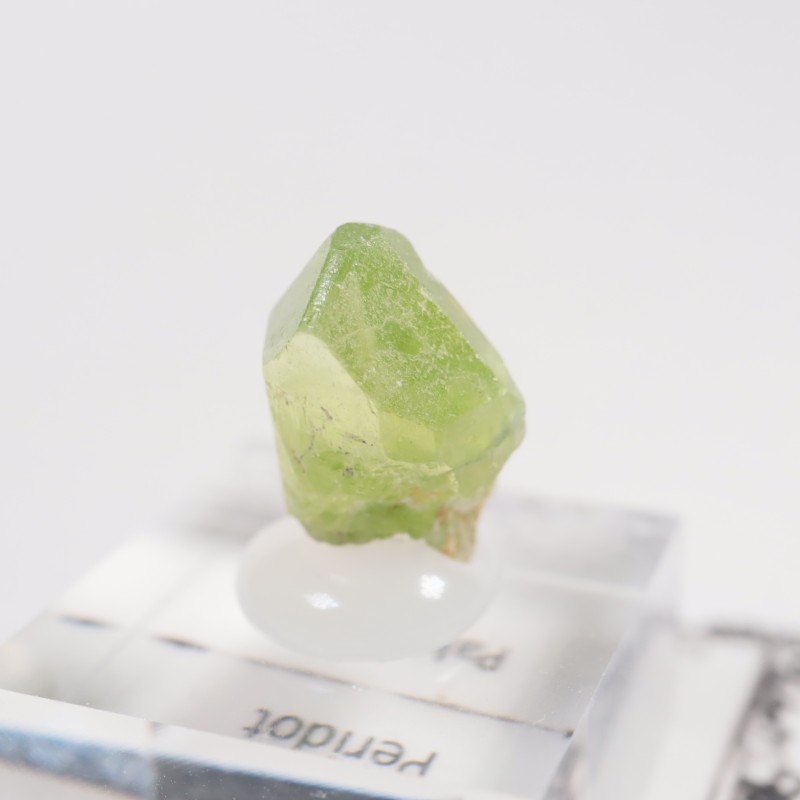 �ѥ������� �ڥ�ɥå�