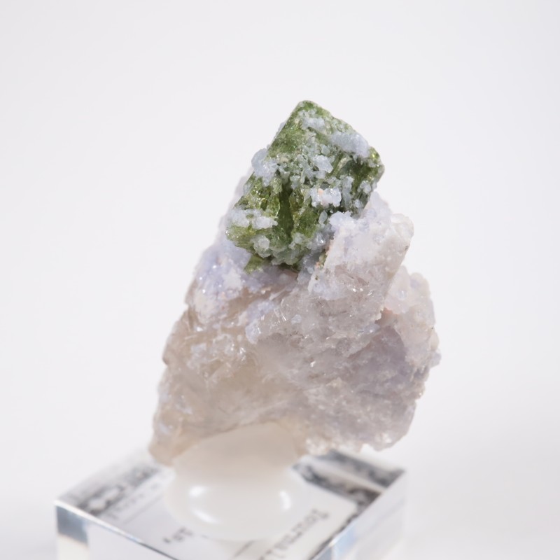 �֥饸�뻺 �ȥ�ޥ��