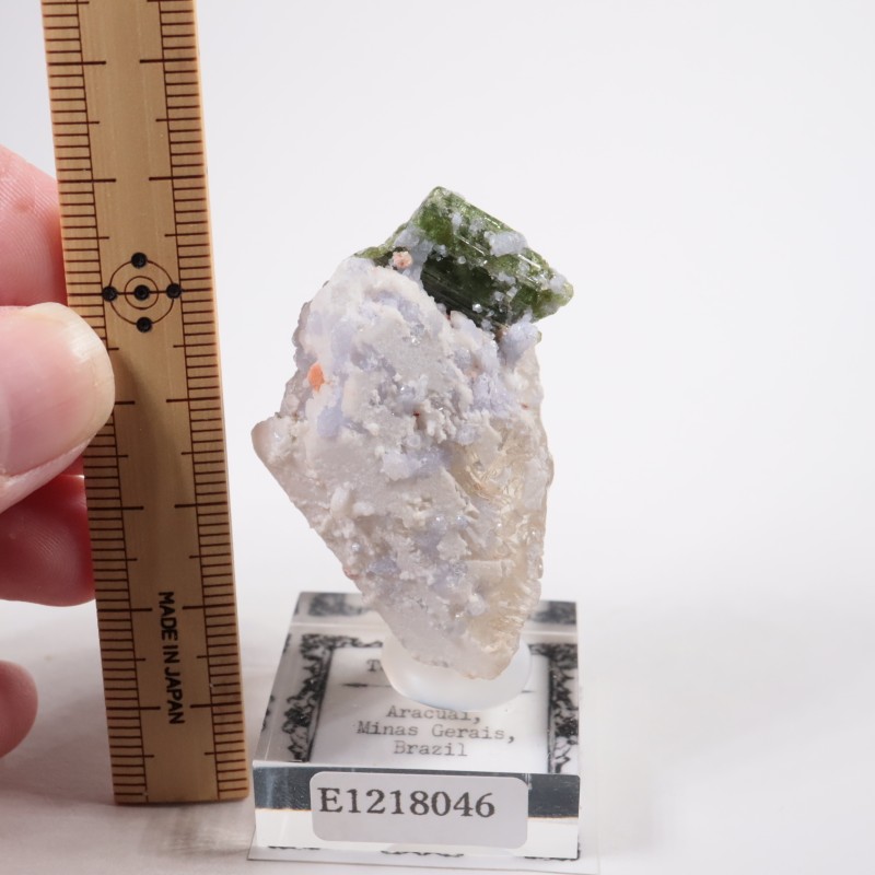 �֥饸�뻺 �ȥ�ޥ��