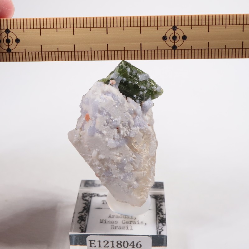 �֥饸�뻺 �ȥ�ޥ��