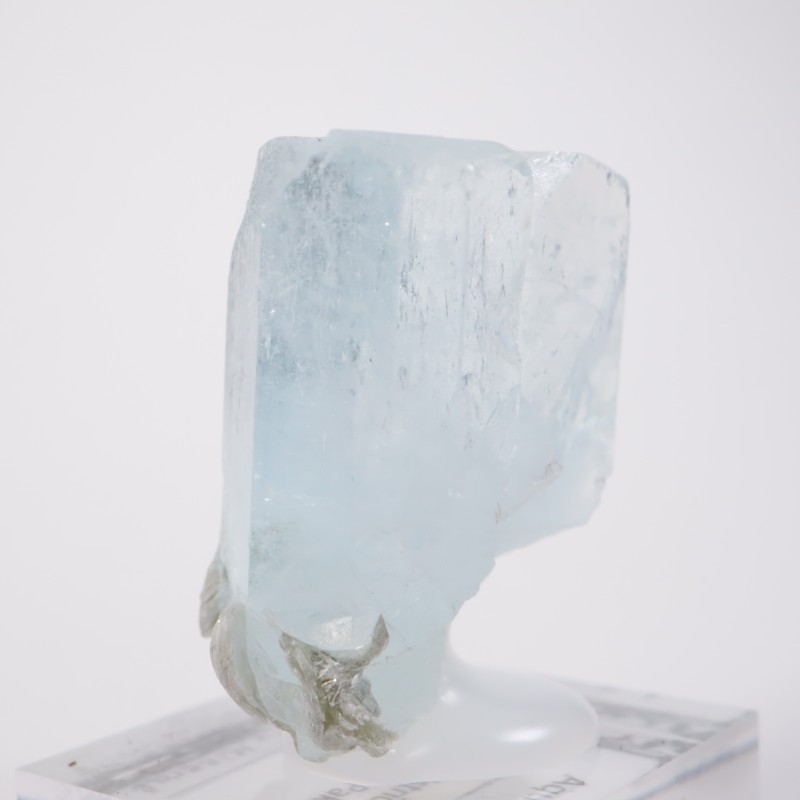 �ѥ������� �������ޥ��