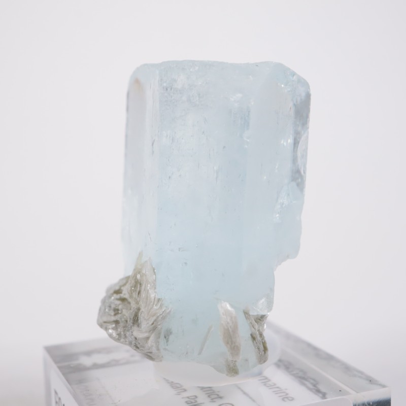 �ѥ������� �������ޥ��