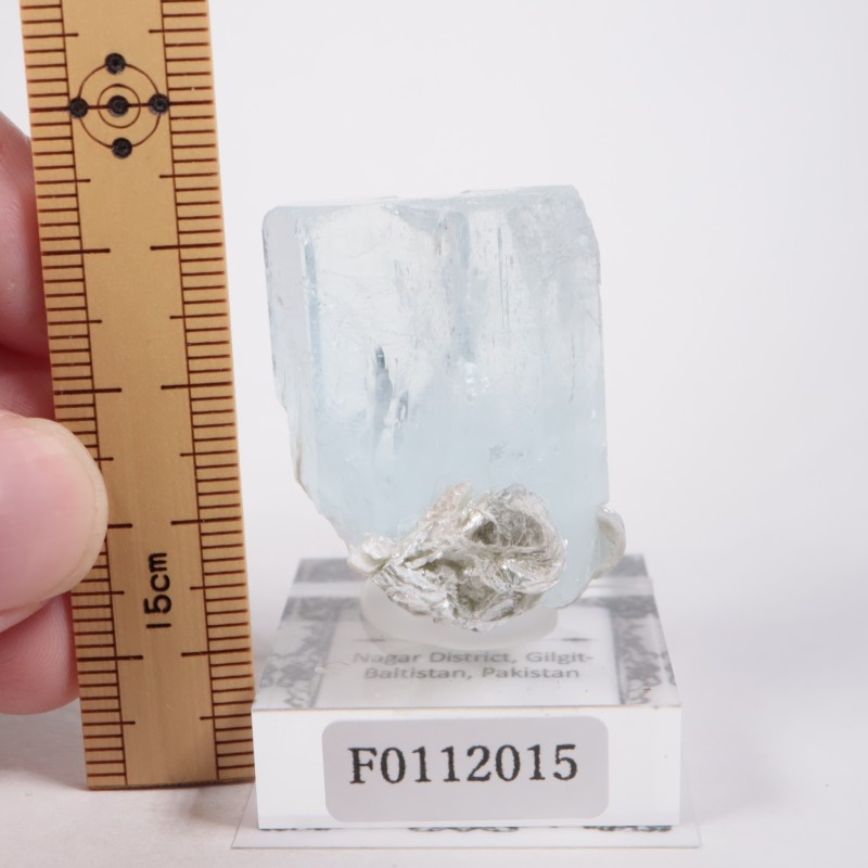 �ѥ������� �������ޥ��