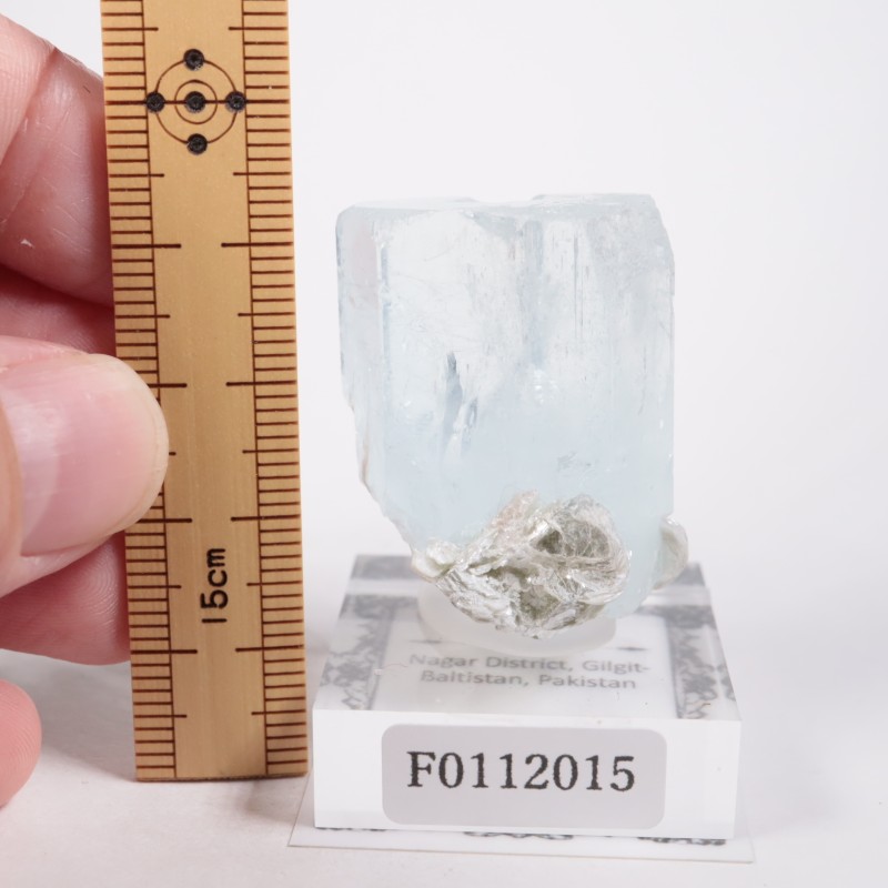 �ѥ������� �������ޥ��