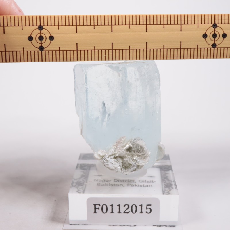 �ѥ������� �������ޥ��