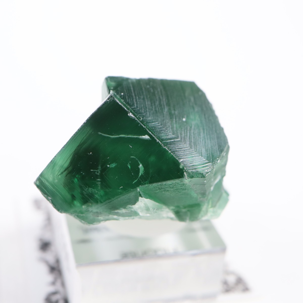 Greedy Hog Pocket ե饤