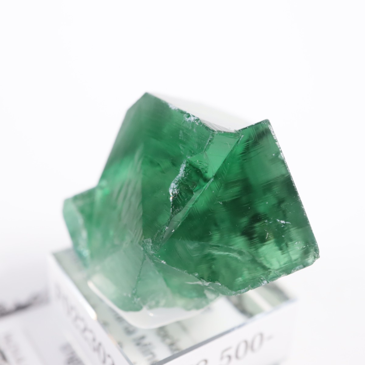 Greedy Hog Pocket ե饤