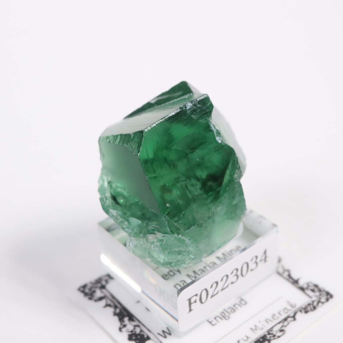 Greedy Hog Pocket ե饤