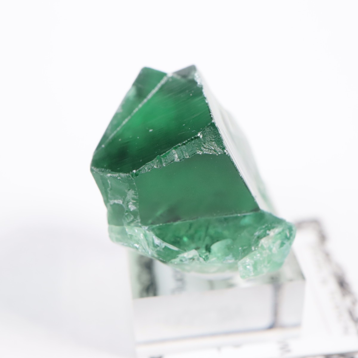 Greedy Hog Pocket ե饤