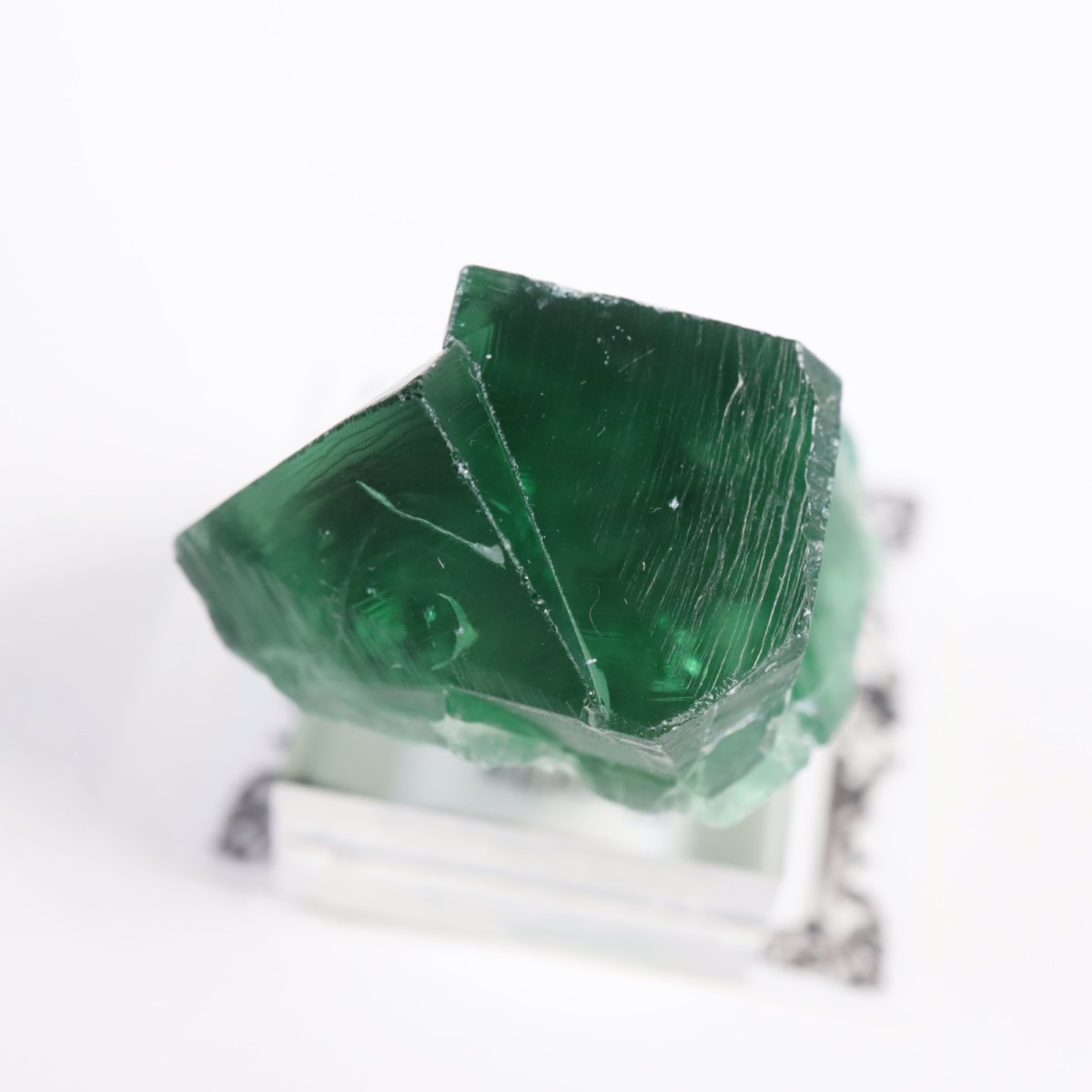 Greedy Hog Pocket ե饤