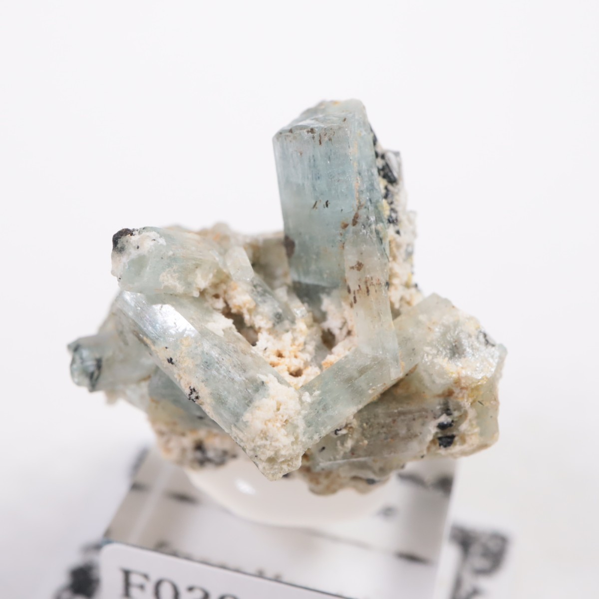 �����󥴹ۻ��� �������ޥ��