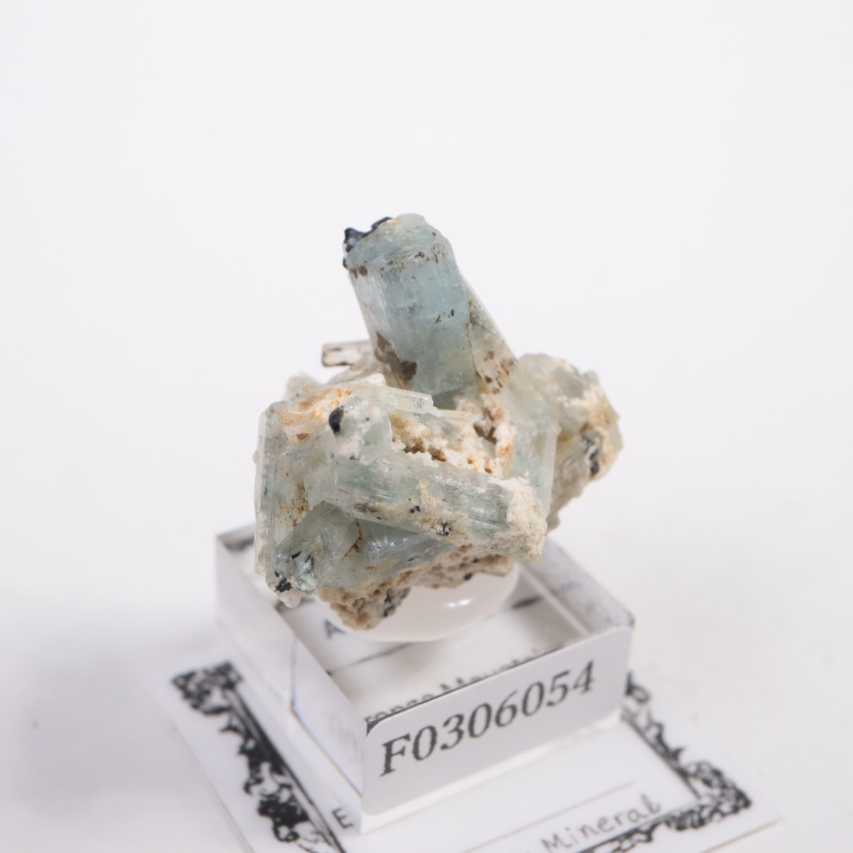 �����󥴹ۻ��� �������ޥ��