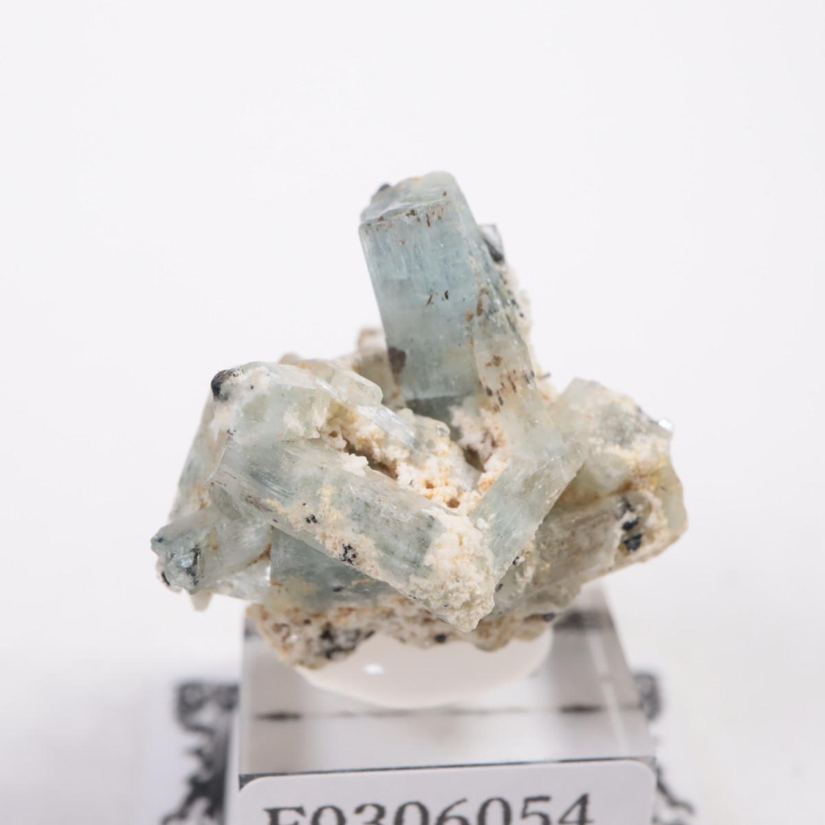 �����󥴹ۻ��� �������ޥ��