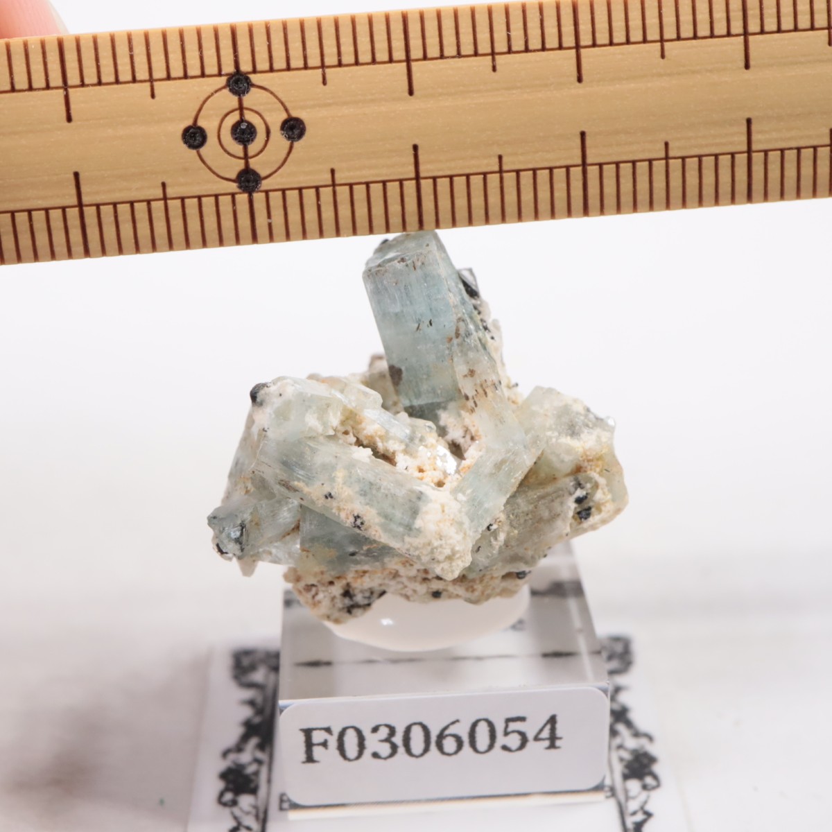 �����󥴹ۻ��� �������ޥ��