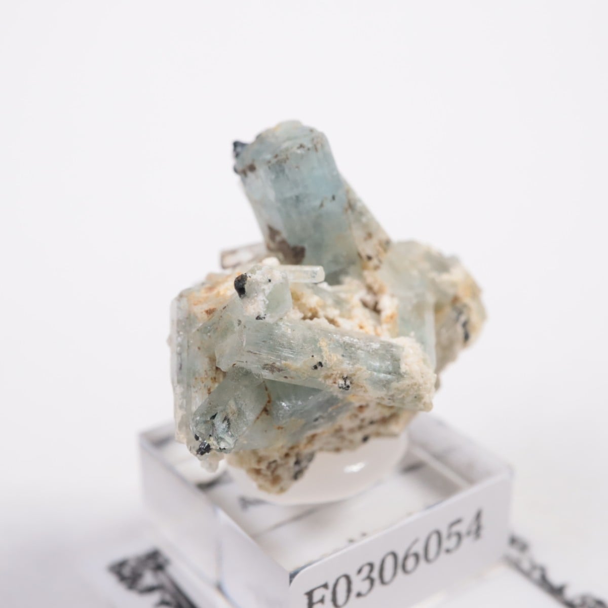 �����󥴹ۻ��� �������ޥ��