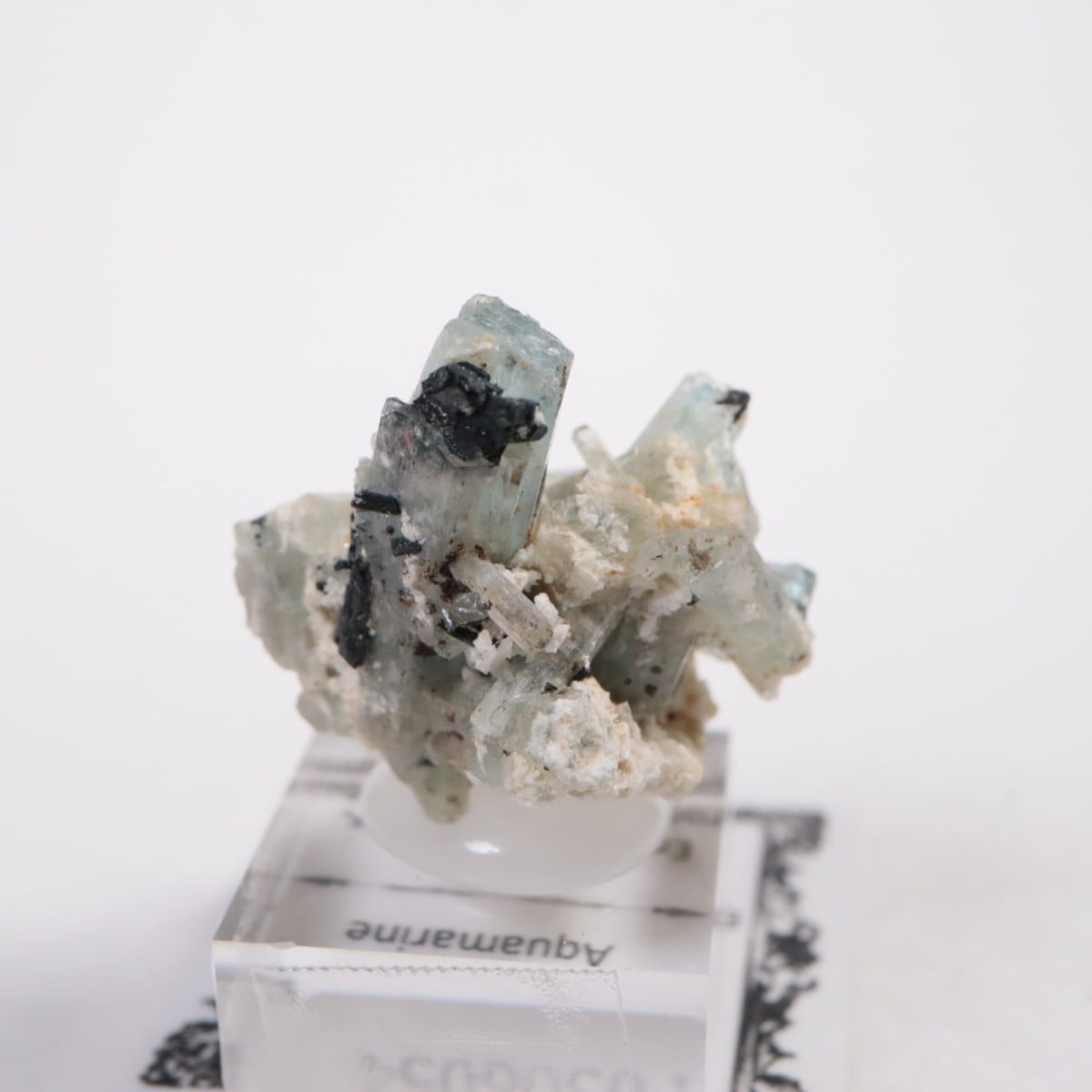 �����󥴹ۻ��� �������ޥ��