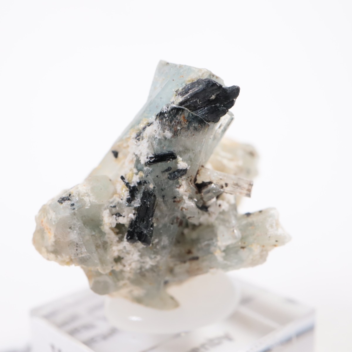 �����󥴹ۻ��� �������ޥ��