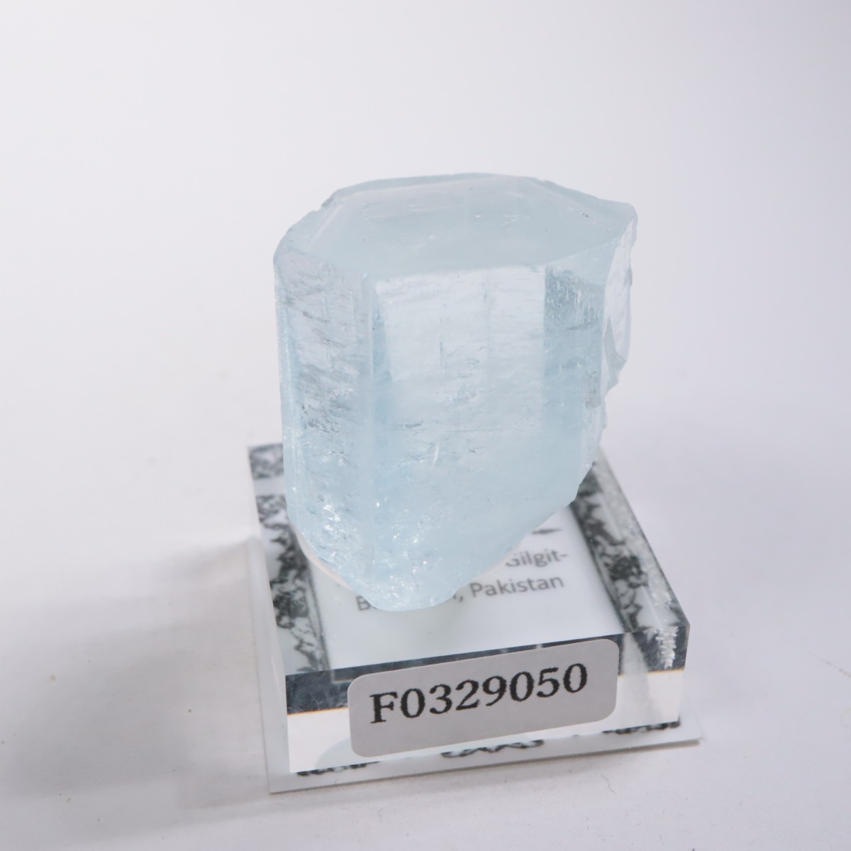 �ѥ������� �������ޥ��