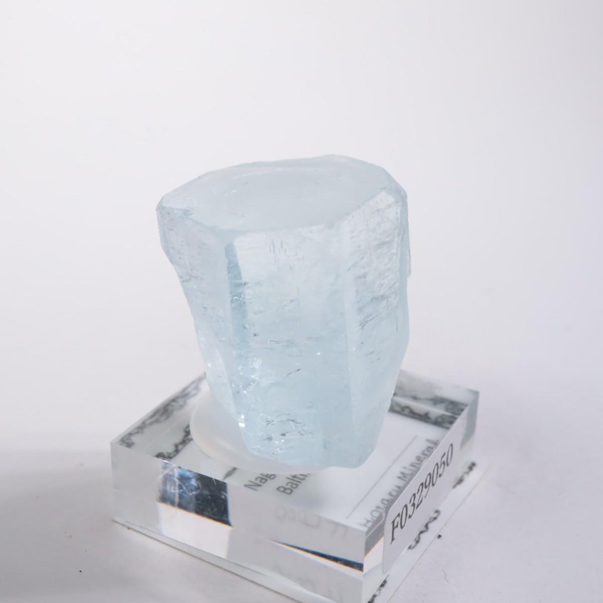 �ѥ������� �������ޥ��