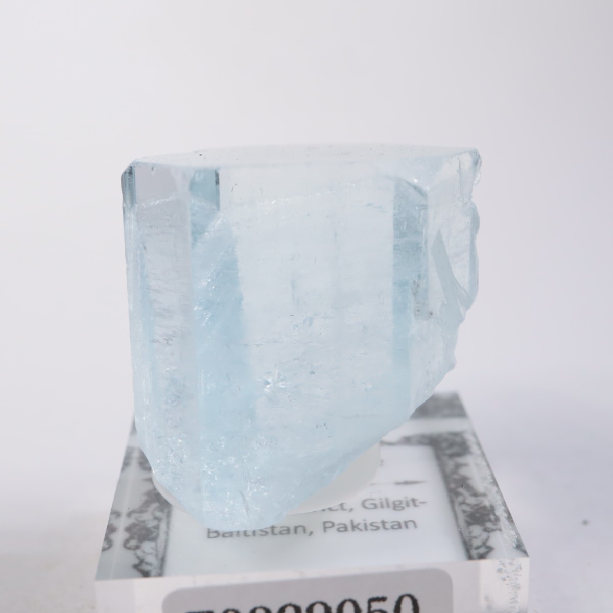 �ѥ������� �������ޥ��