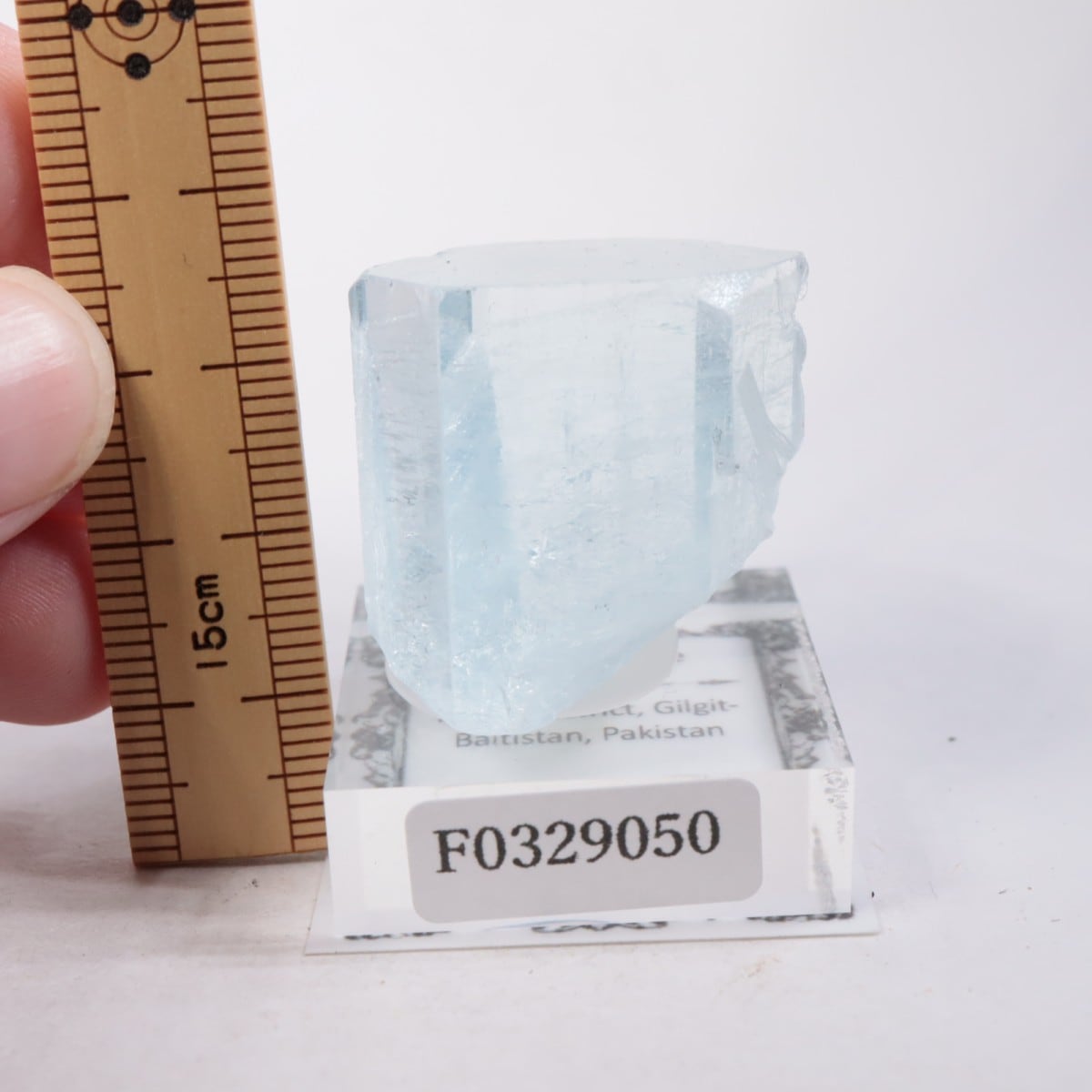 �ѥ������� �������ޥ��