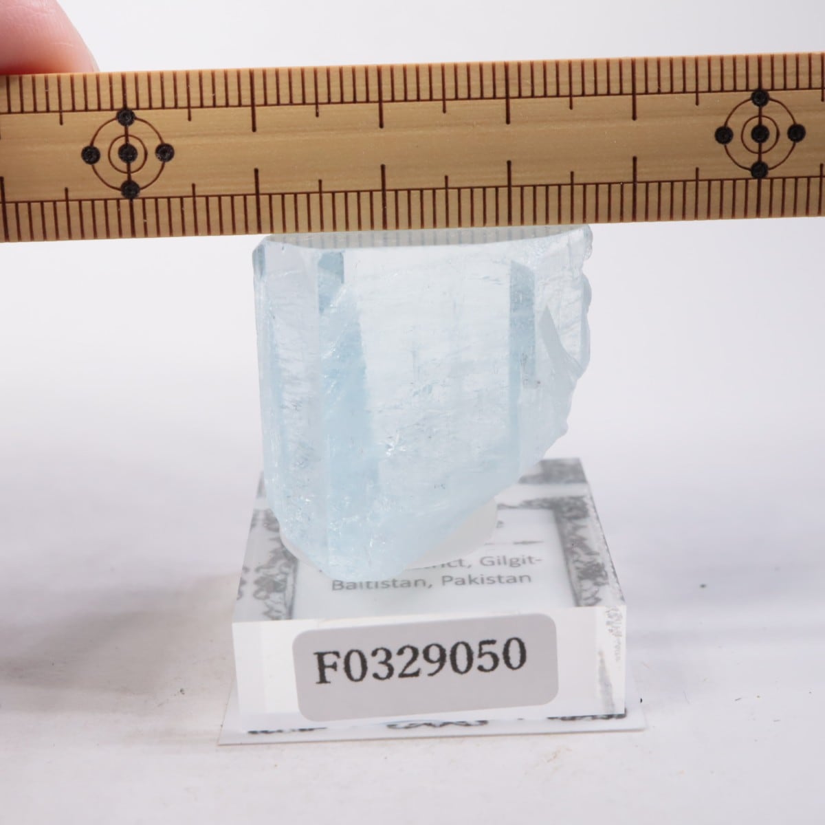 �ѥ������� �������ޥ��