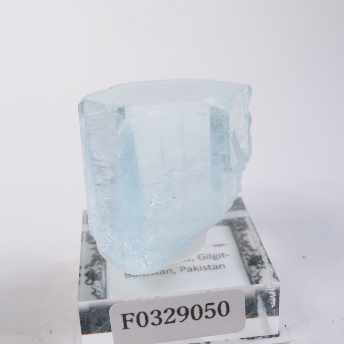 �ѥ������� �������ޥ��