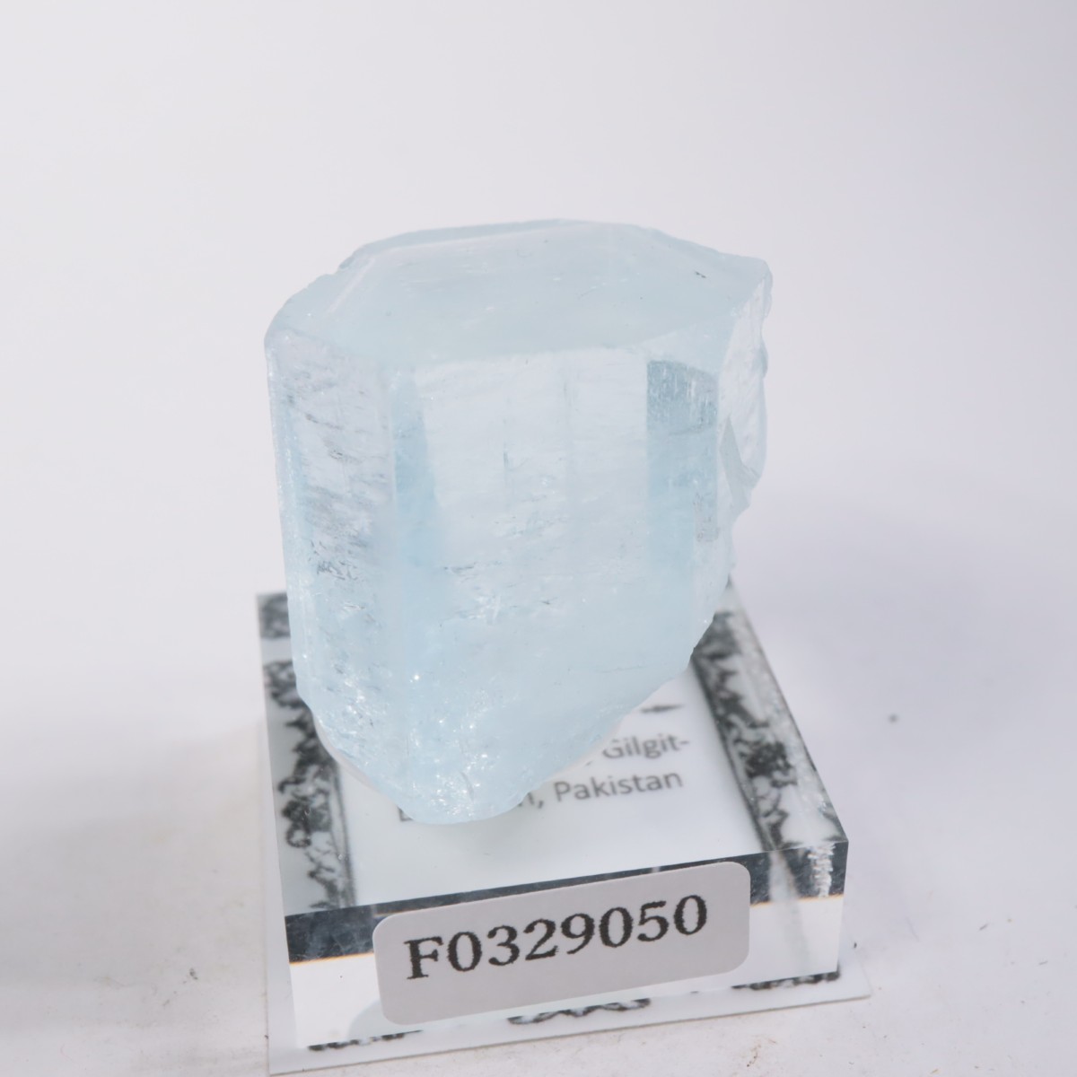 �ѥ������� �������ޥ��