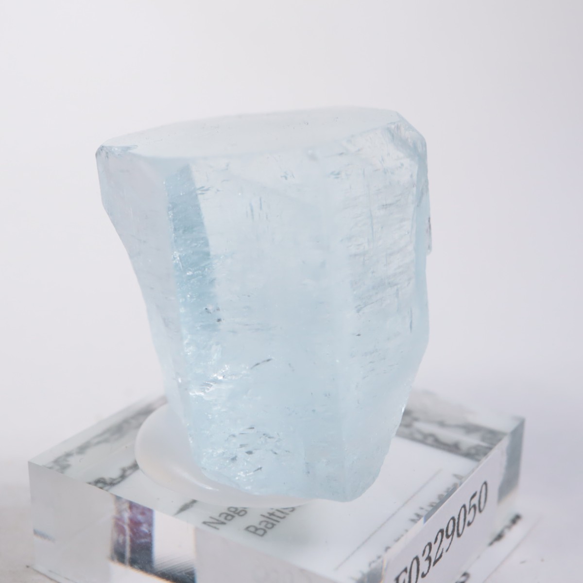 �ѥ������� �������ޥ��