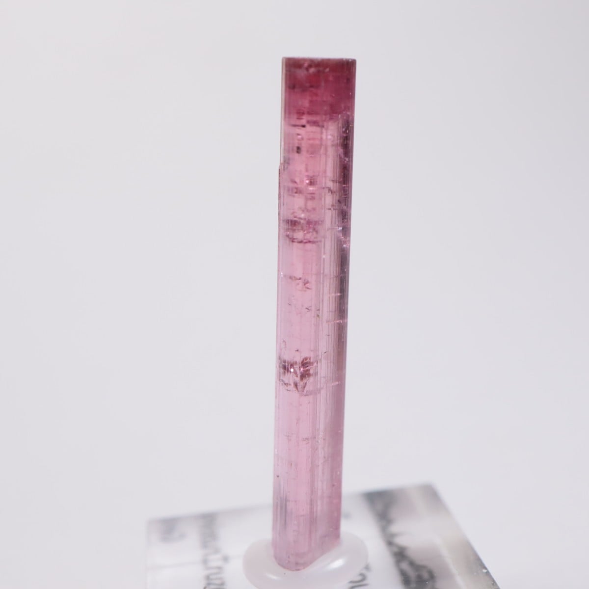 Cruzeiro�ۻ��� �ȥ�ޥ��