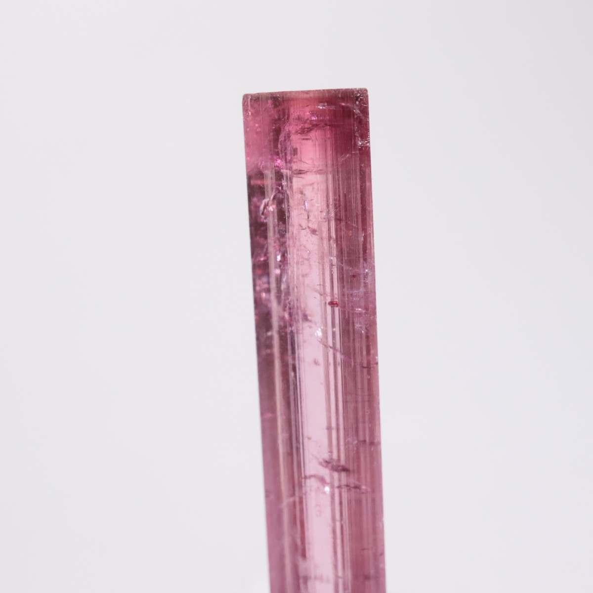 Cruzeiro�ۻ��� �ȥ�ޥ��