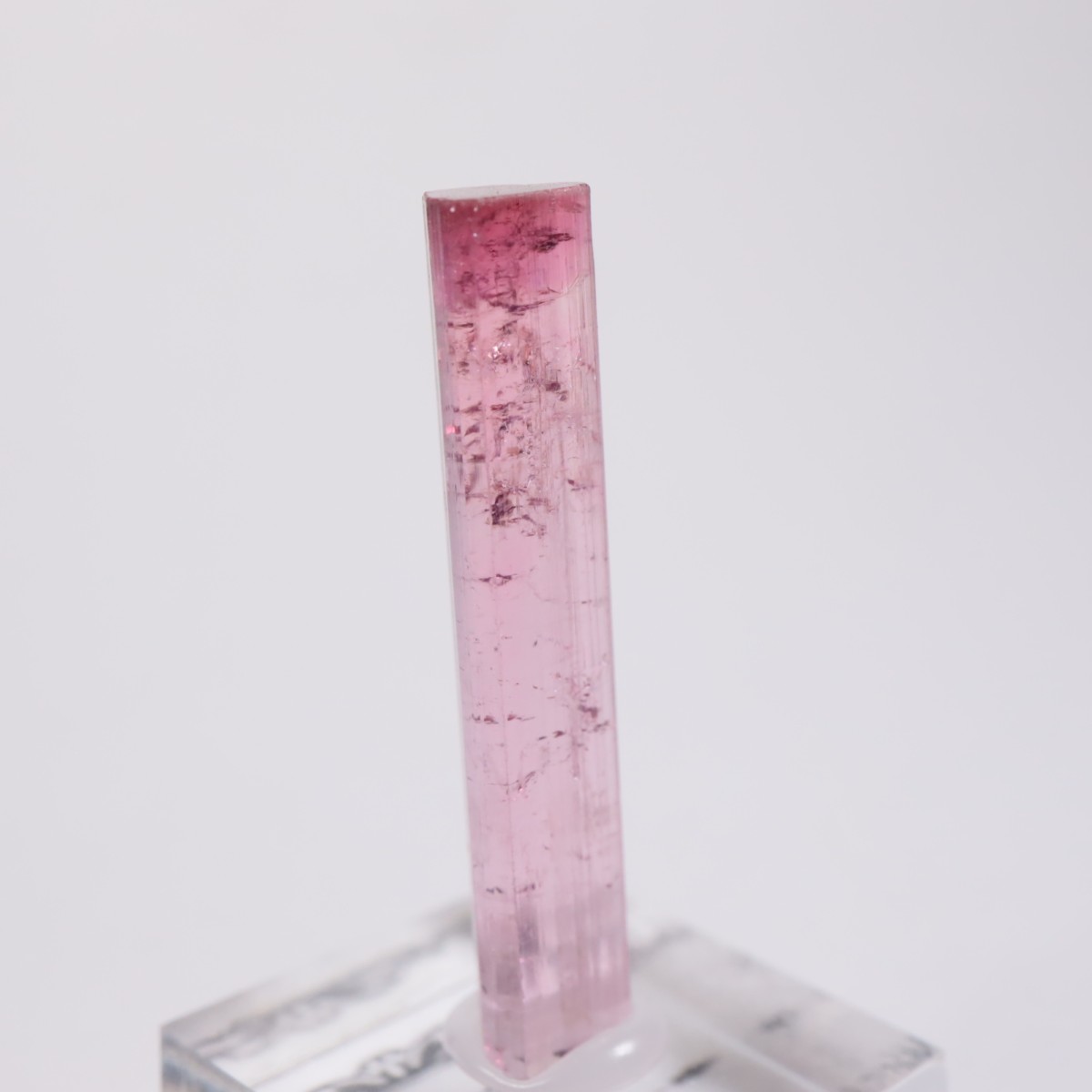 Cruzeiro�ۻ��� �ȥ�ޥ��