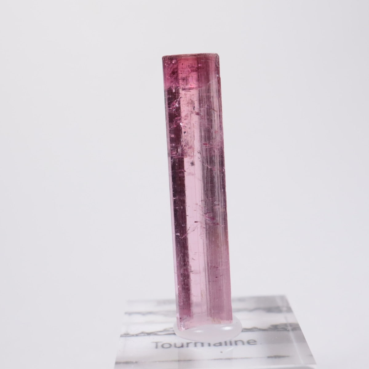 Cruzeiro�ۻ��� �ȥ�ޥ��