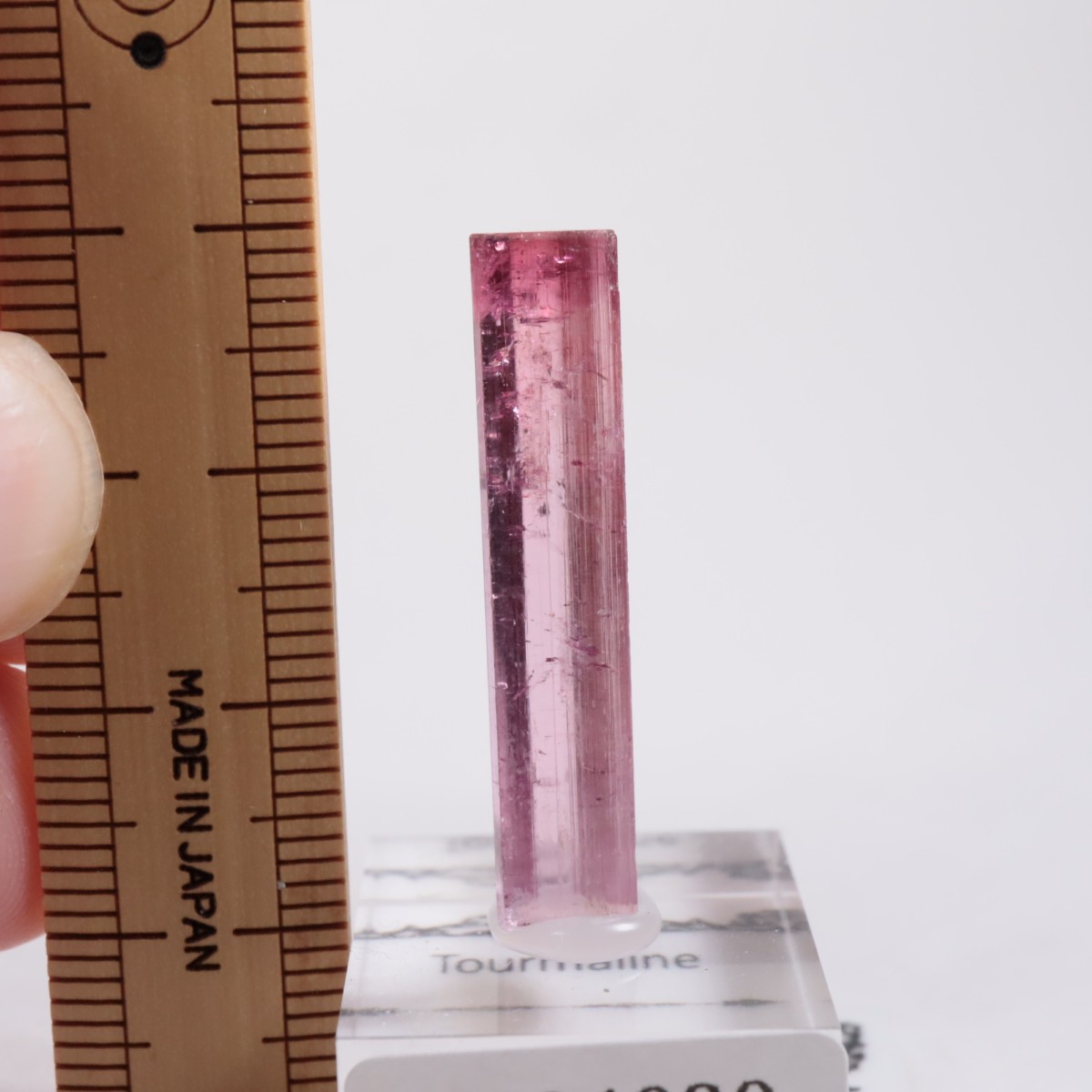 Cruzeiro�ۻ��� �ȥ�ޥ��