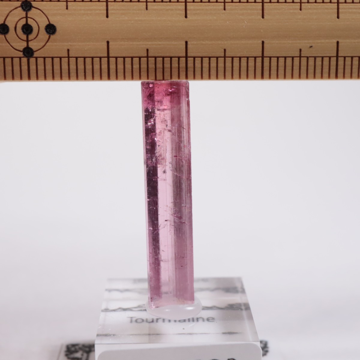 Cruzeiro�ۻ��� �ȥ�ޥ��