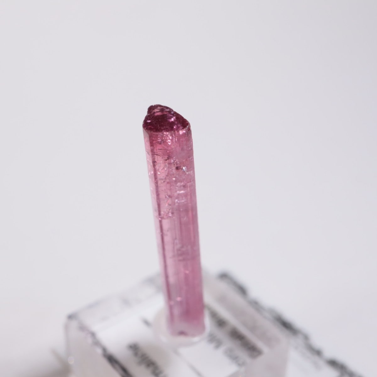 Cruzeiro�ۻ��� �ȥ�ޥ��