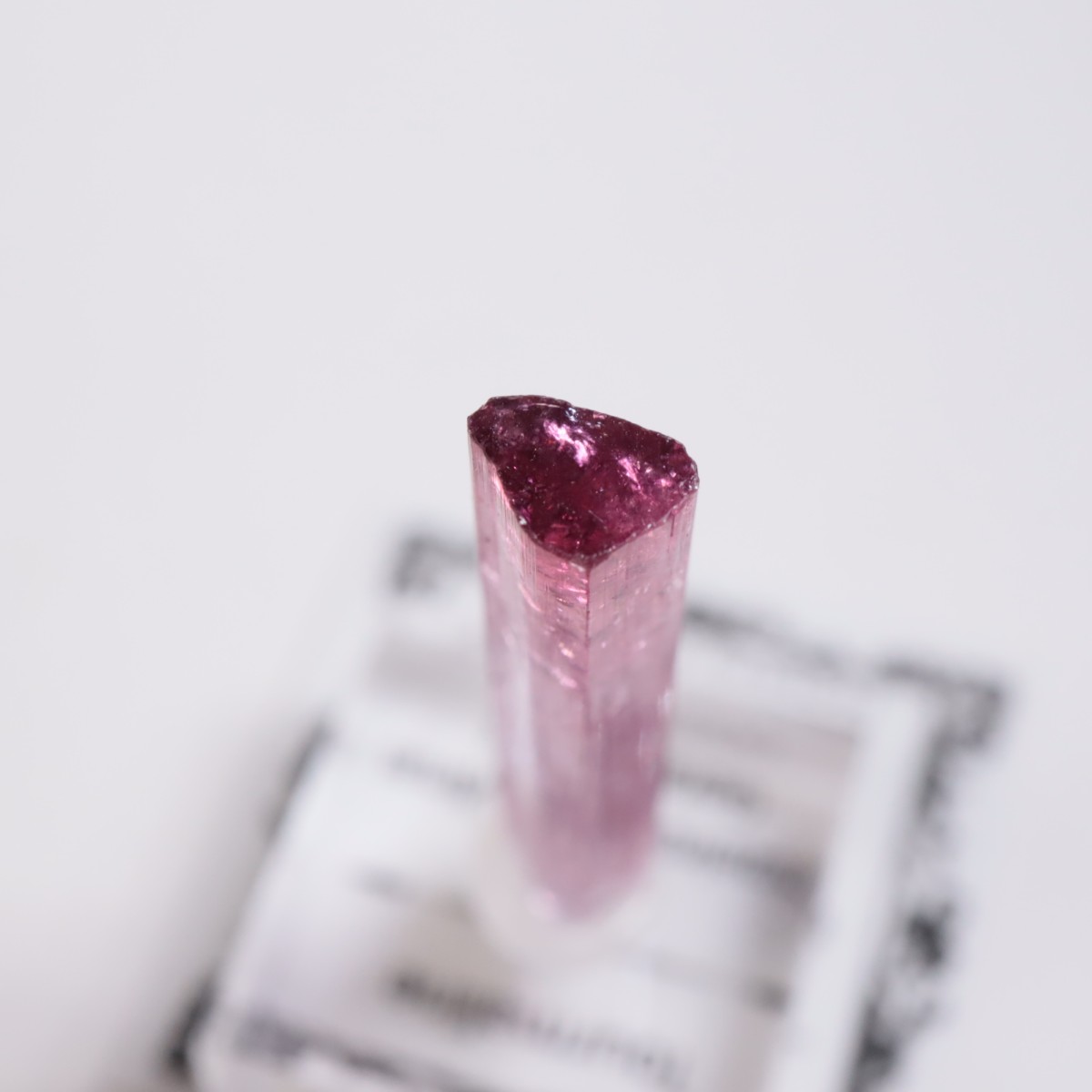 Cruzeiro�ۻ��� �ȥ�ޥ��