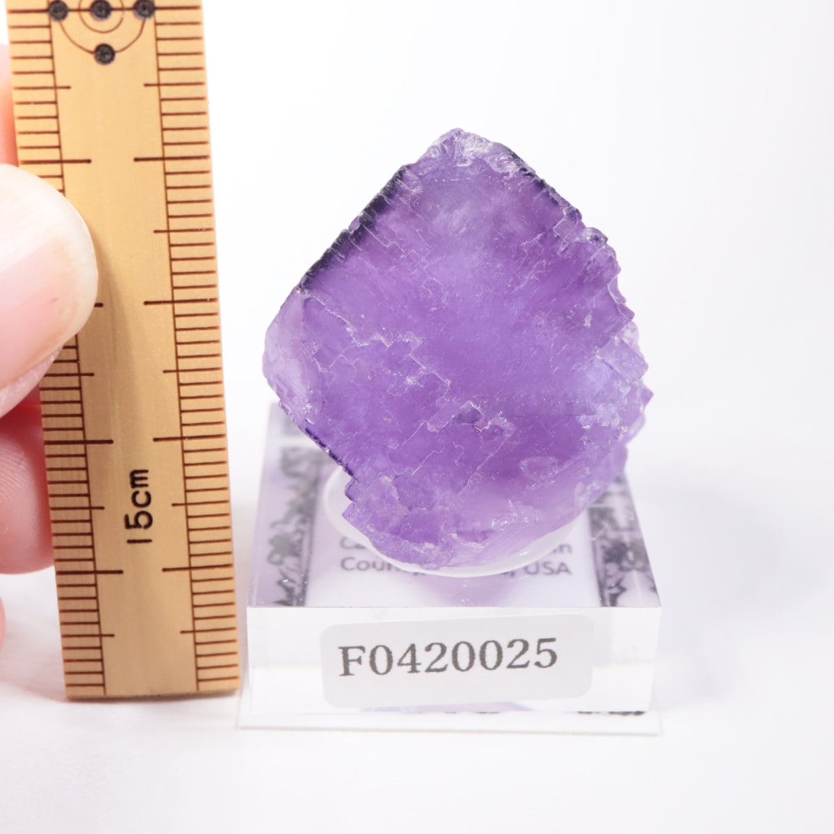 ����Υ��� �ե����饤��